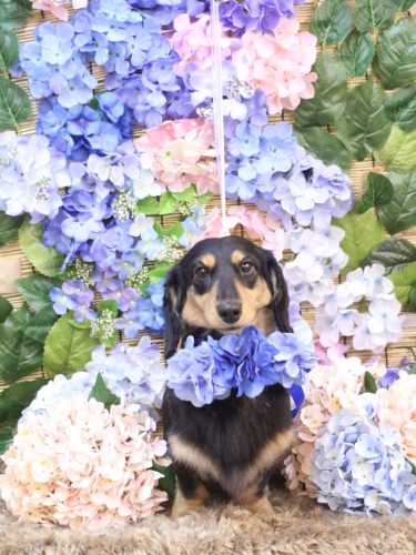 20250622おうたくん